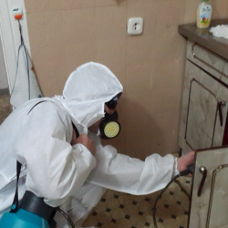 Дезинфекция от муравьев в квартире Преображенская площадь метро Москвы